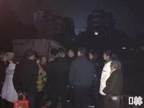 午夜男人天堂：震惊！一场突如其来的事件让整个城市陷入恐慌，真相令人难以置信！