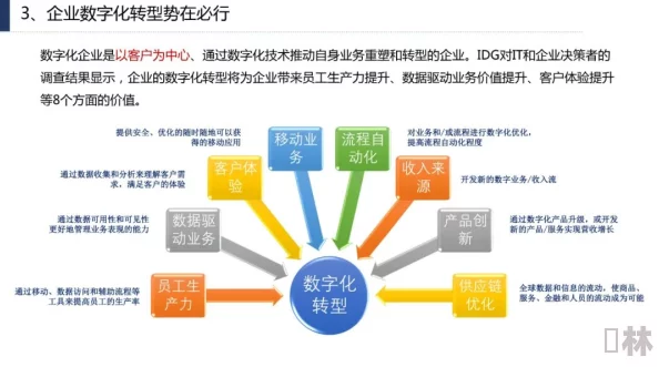 XXXX69：探讨数字化转型对企业竞争力的影响及其在不同行业中的应用案例分析