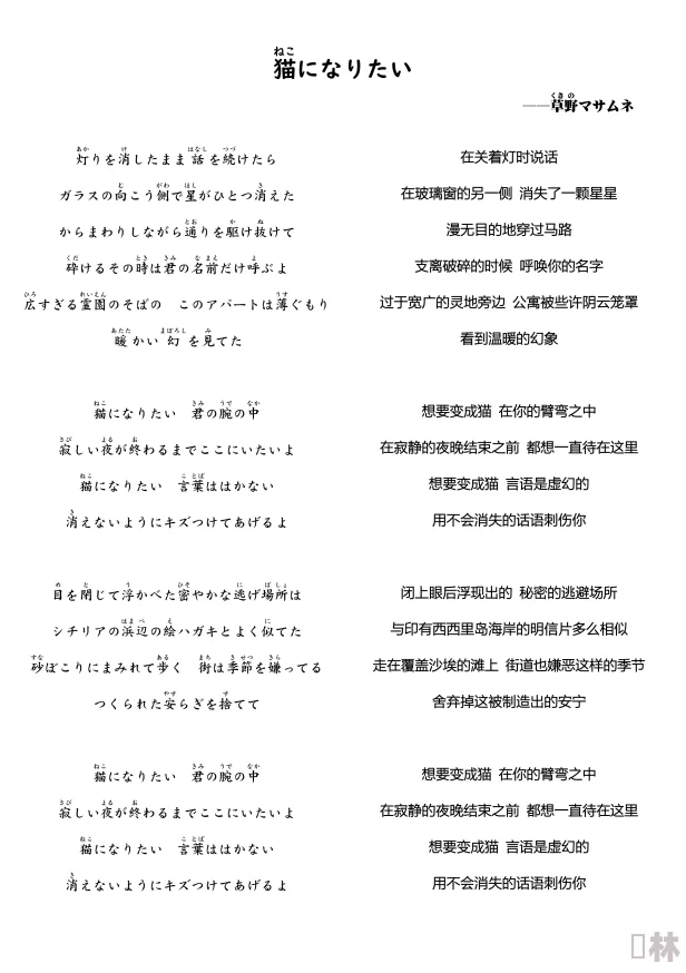 惊爆！＂いつまでも変わらぬ爱を歌词翻訳＂背后的感人故事让人泪目，究竟是什么？