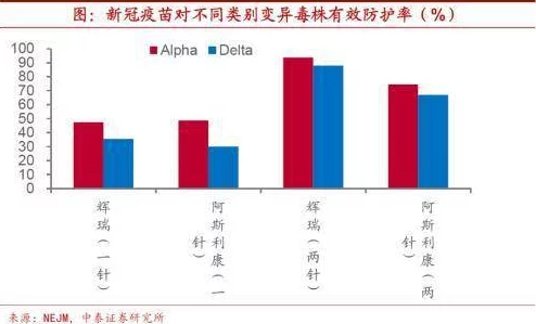 欧美xxnxx：全球经济复苏面临挑战，专家分析未来发展趋势与市场动态