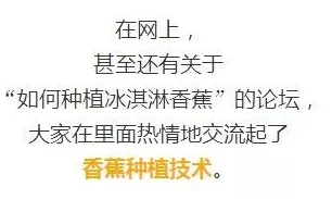 久热精品香蕉在线视频＂引发热议，网友惊呼：竟然隐藏着如此不为人知的秘密！